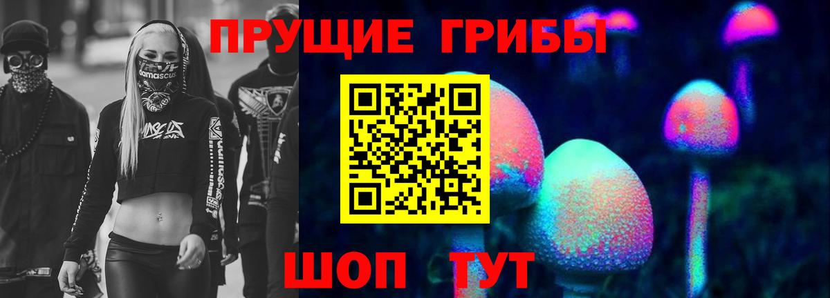 Подольск  Псилоцибиновые грибы мицелий  Вход с VPN 