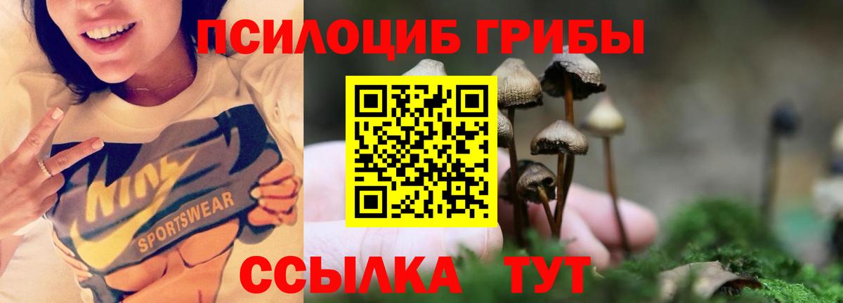 Псилоцибиновые грибы ЛСД Подольск